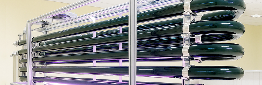 About Vedan Biotechnology