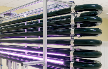 About Vedan Biotechnology